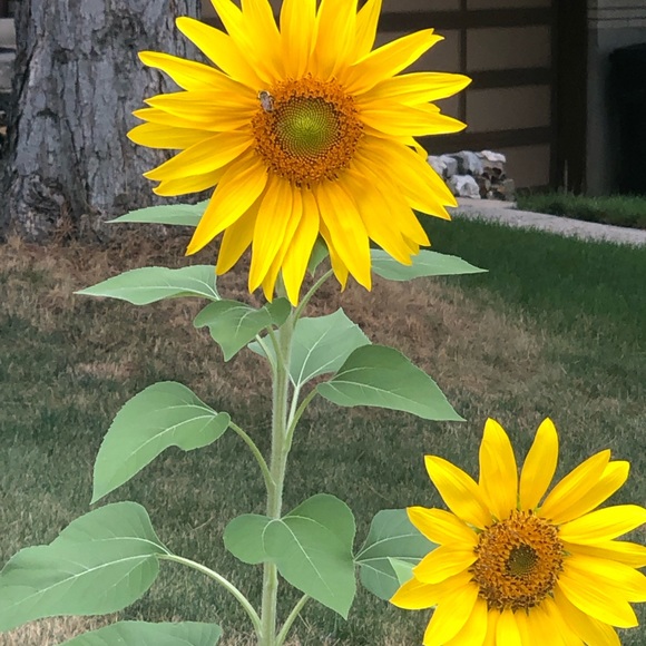 Hi my name is Allison!  Welcome to my closet :-) - Picture 3 of 5